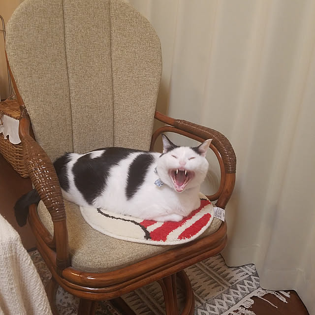 yuuさんの実例写真