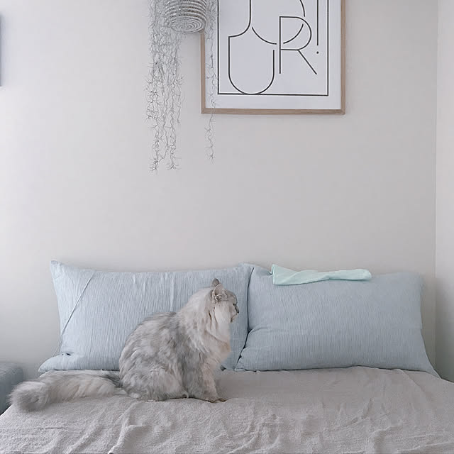 moon.mさんの実例写真