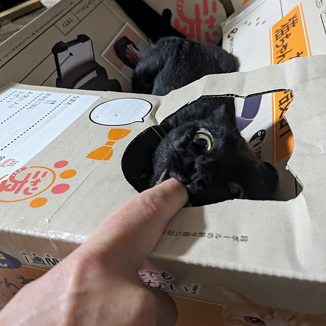 ciiiさんの部屋