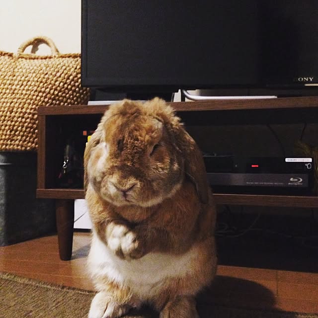 omochiさんの実例写真