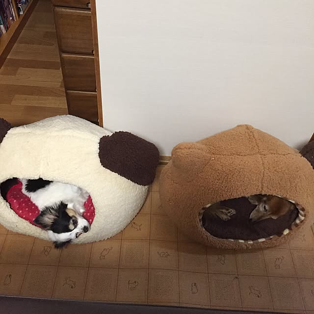 rikaさんの実例写真