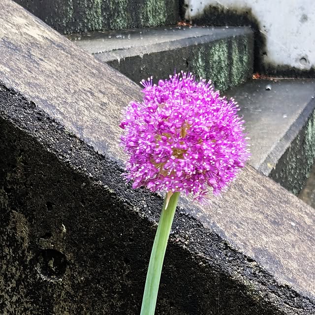 kazuさんの部屋