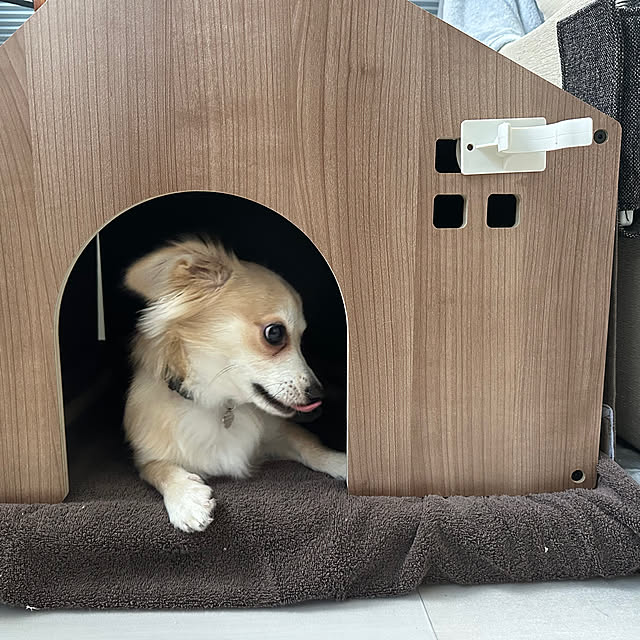 Rainyさんの実例写真