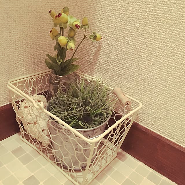 Masayoさんの実例写真