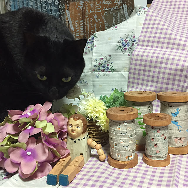 vivienne.coco-keiさんの実例写真