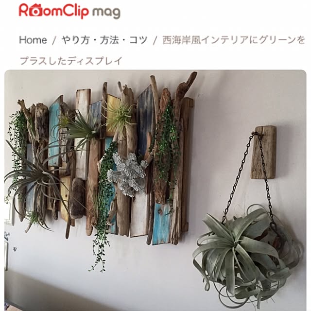 cooさんの実例写真