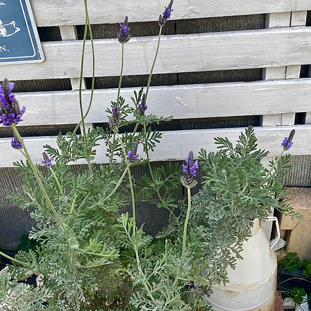 YuuKoさんの部屋