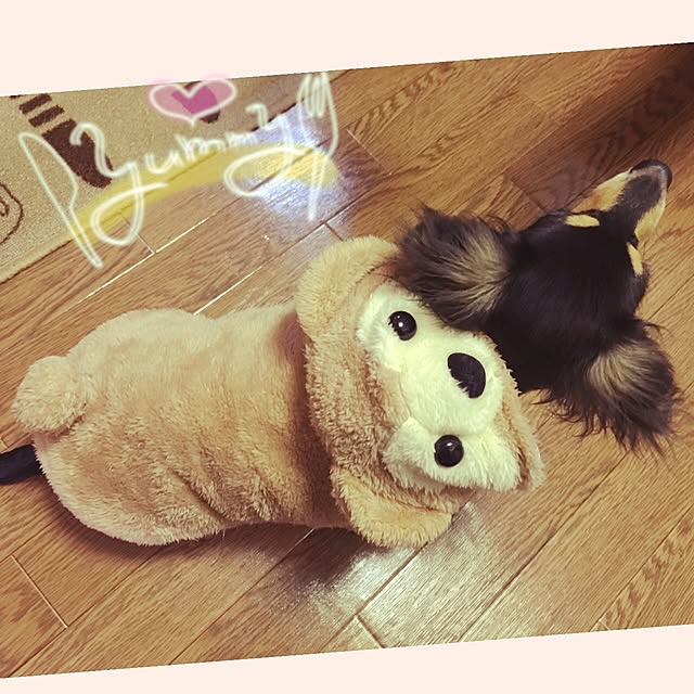memeさんの実例写真