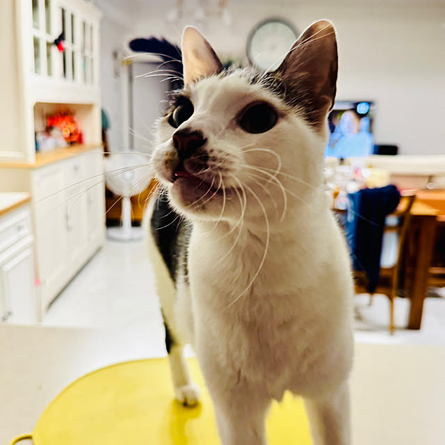 pcu110さんの部屋