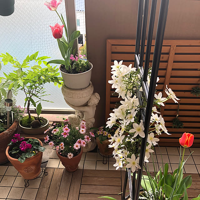 実例写真
