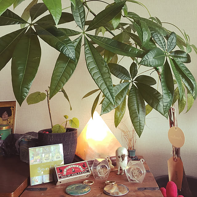 s.p.sunaoさんの実例写真