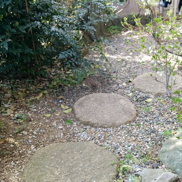 siroさんの実例写真