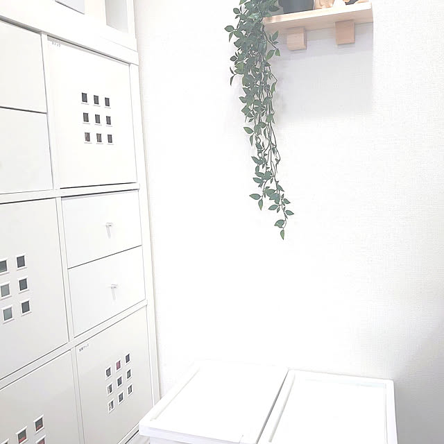 mint_greenさんの実例写真