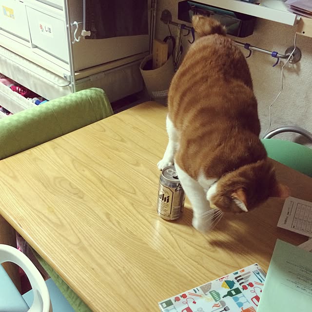 pikkariさんの実例写真