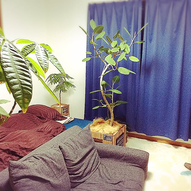 hiroronさんの実例写真