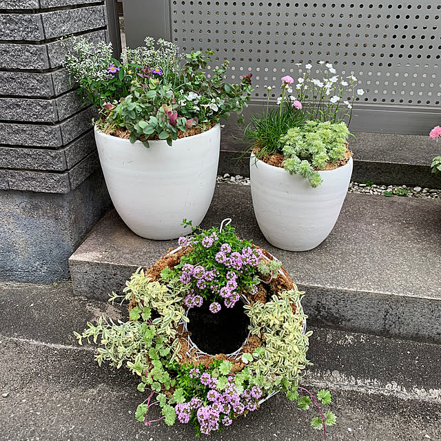 maayaさんの実例写真