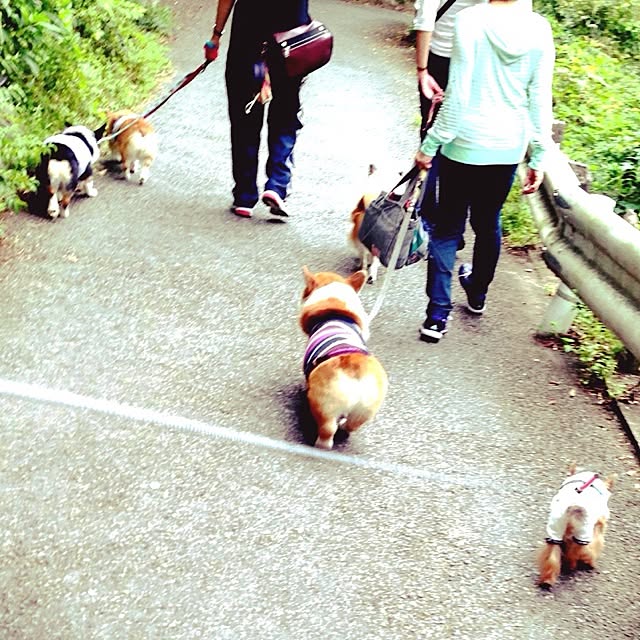 yuchinさんの実例写真