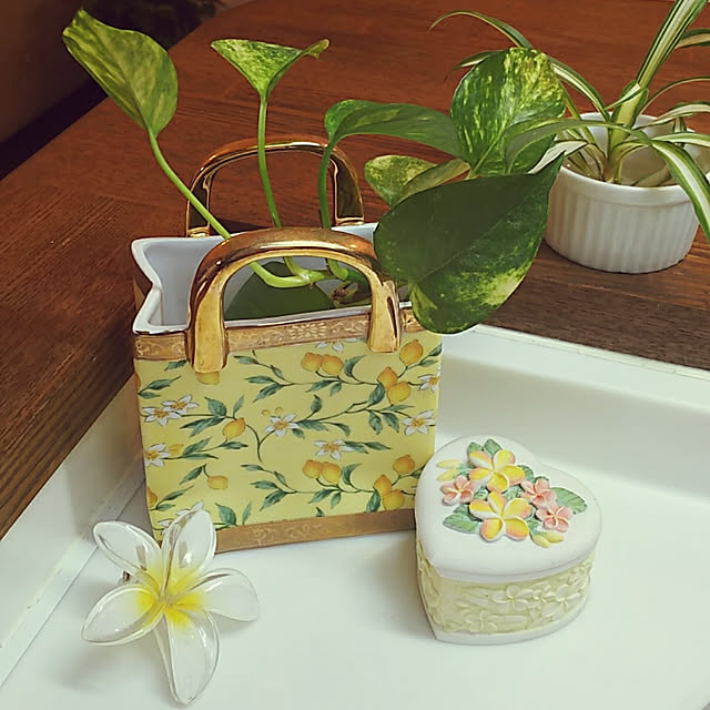 Yoshi55goさんの実例写真