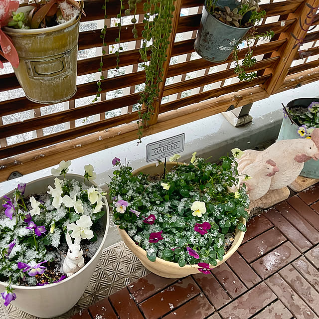 2.11maririnさんの部屋