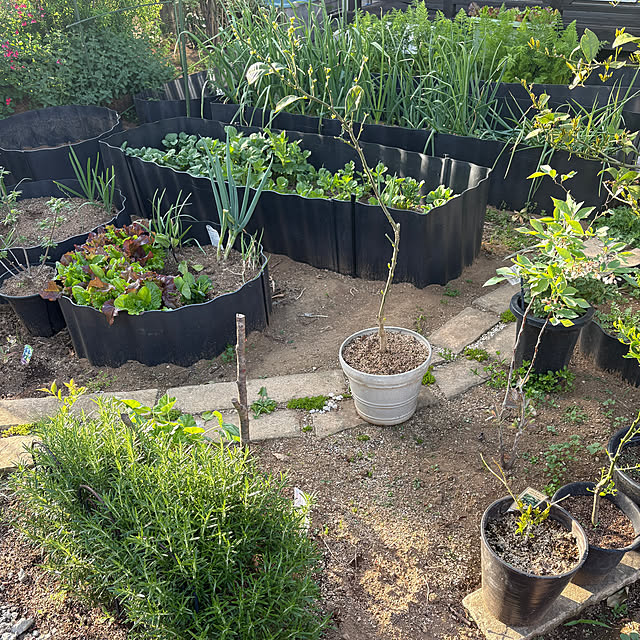 yunroomさんの実例写真