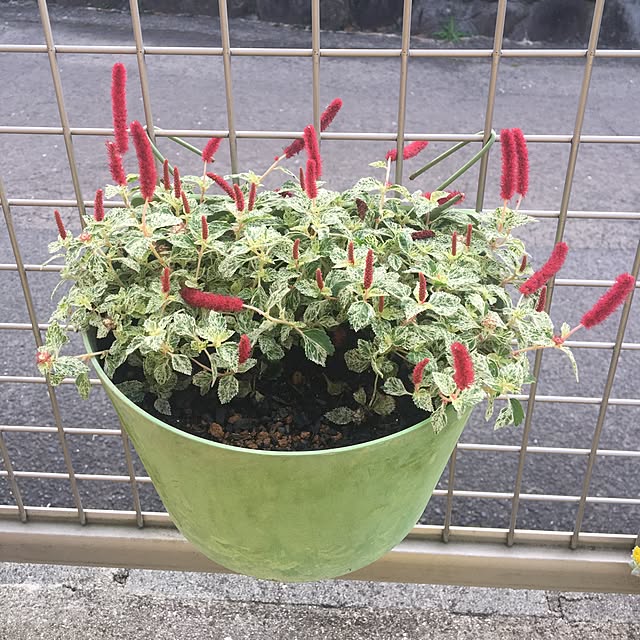 sanw2225719さんの実例写真