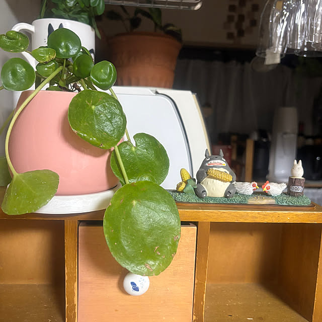 sanaeさんの実例写真