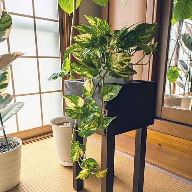 Renさんの部屋