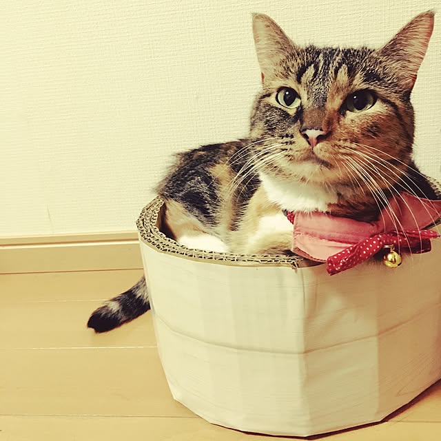 nmcさんの実例写真
