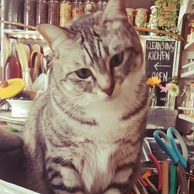 annさんの実例写真