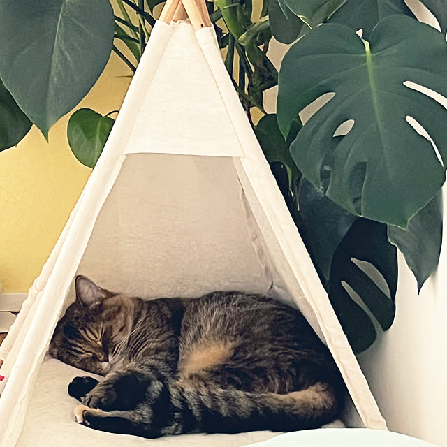 minさんの実例写真