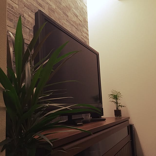 lionmaru1414さんの実例写真