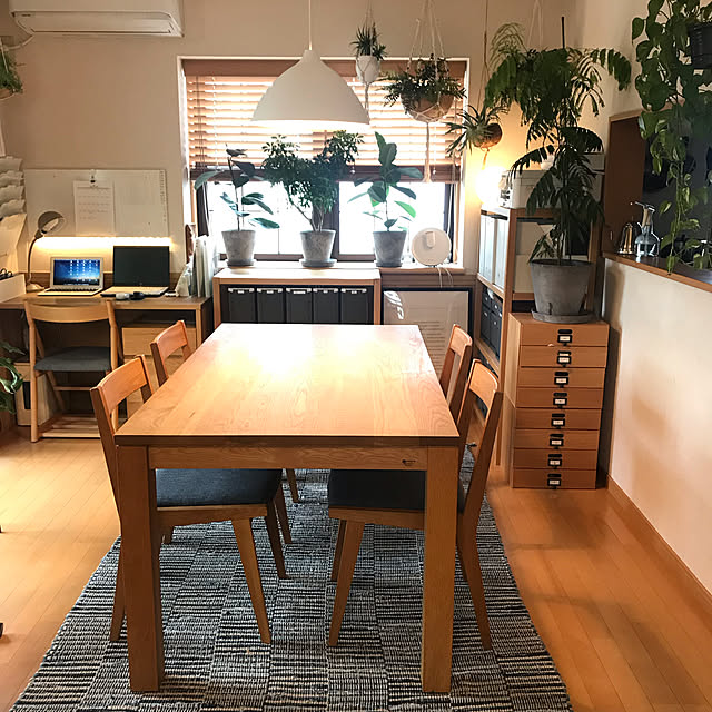 kamiさんの実例写真