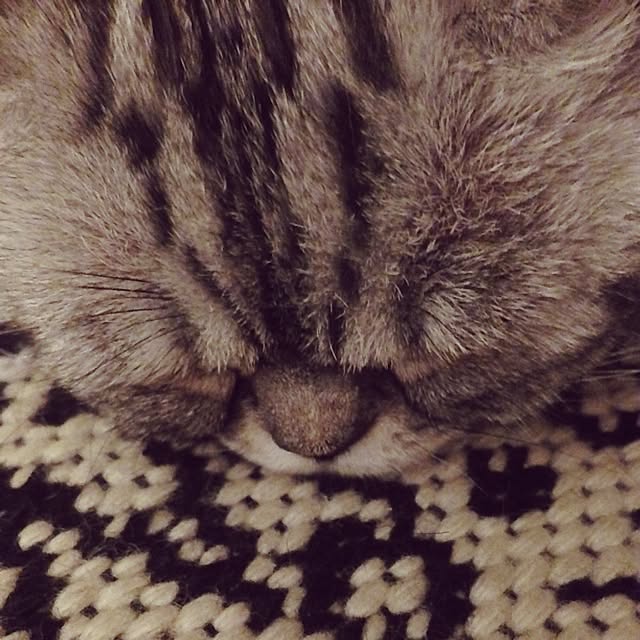 fuku48さんの実例写真