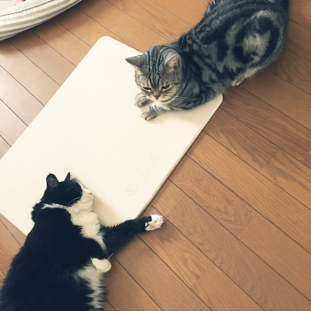 mame-minさんの実例写真