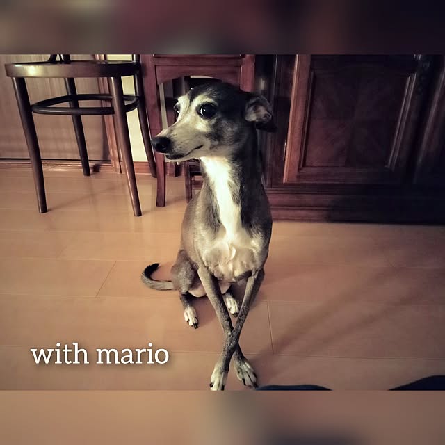 moruさんの部屋