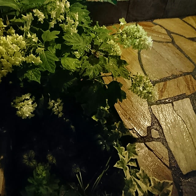 sachiさんの実例写真