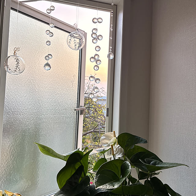 dmamaさんの実例写真