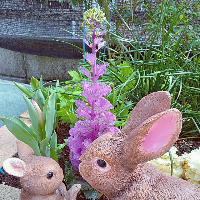 mocomocoさんの部屋