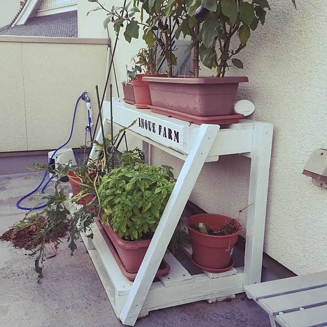masaww01061さんの実例写真