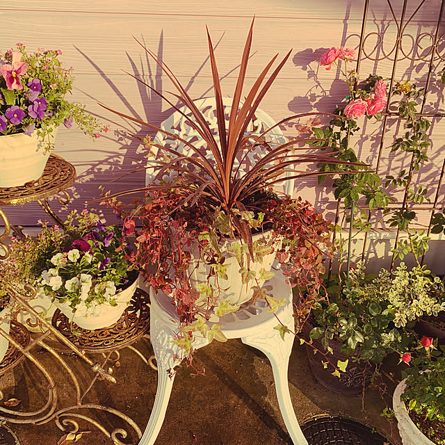 AYUKOさんの実例写真