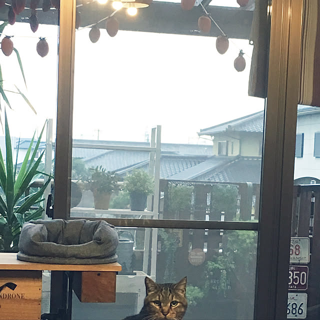 Miechamさんの実例写真