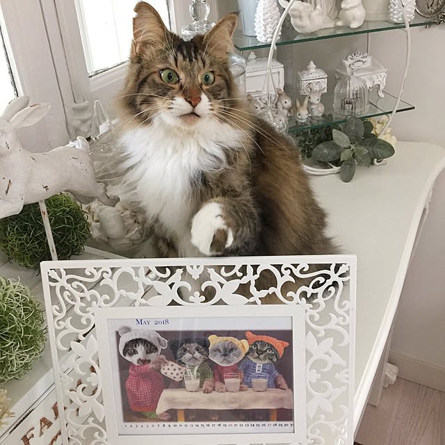 yuchiさんの実例写真