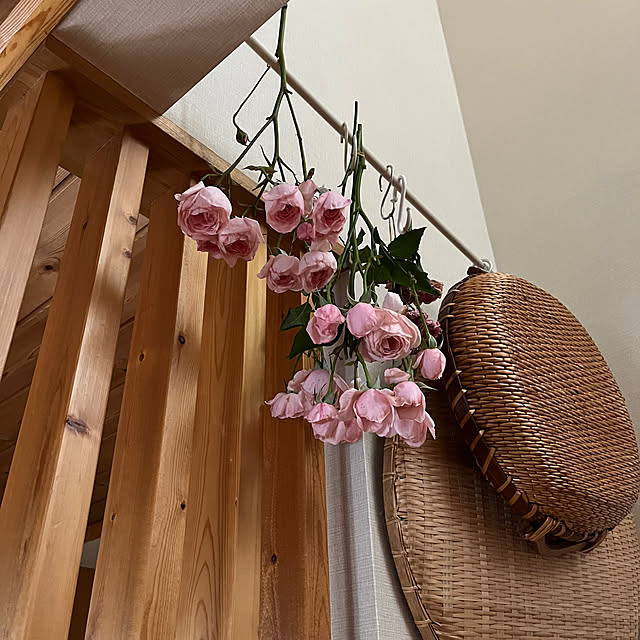 botanさんの部屋