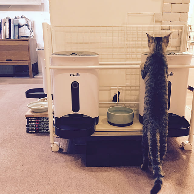 mikomaruさんの実例写真