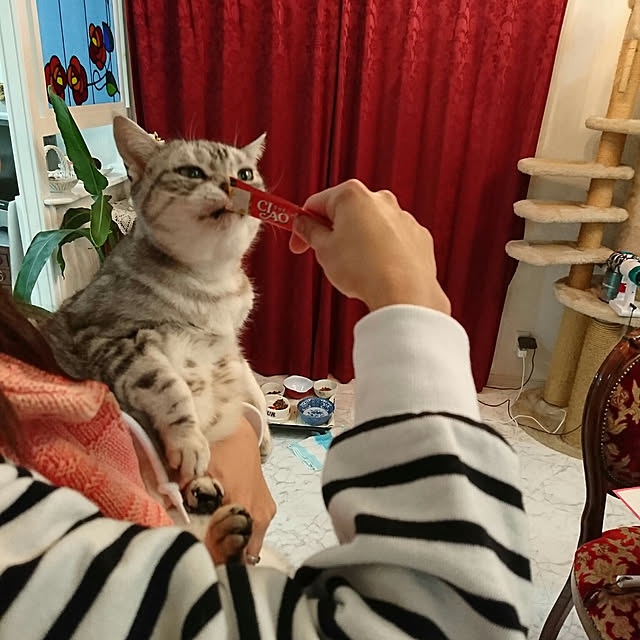 machikomamaさんの実例写真