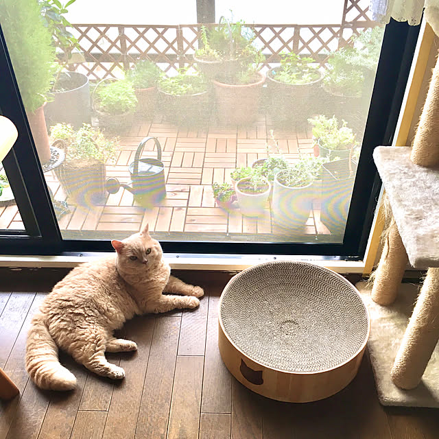 naokoさんの実例写真