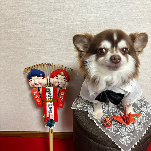 chIoeさんの実例写真