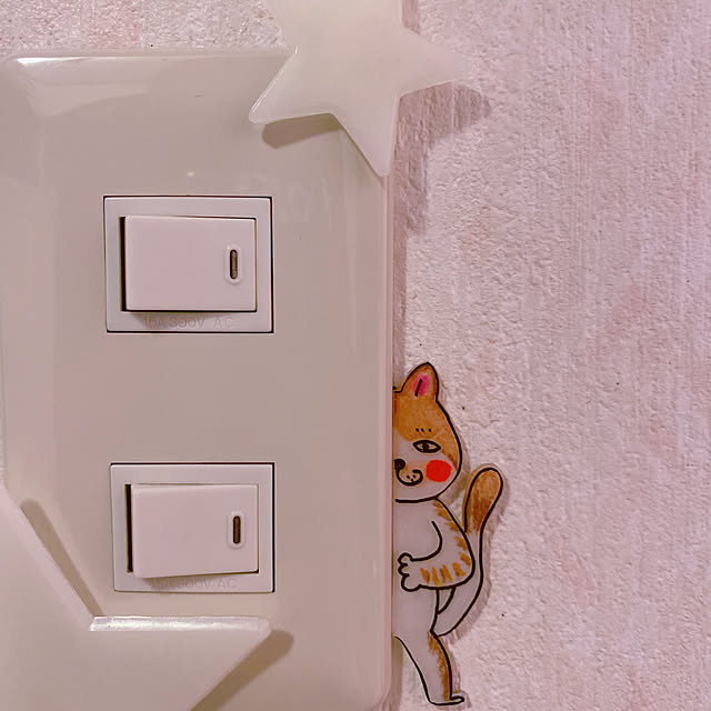 NeNoさんの実例写真