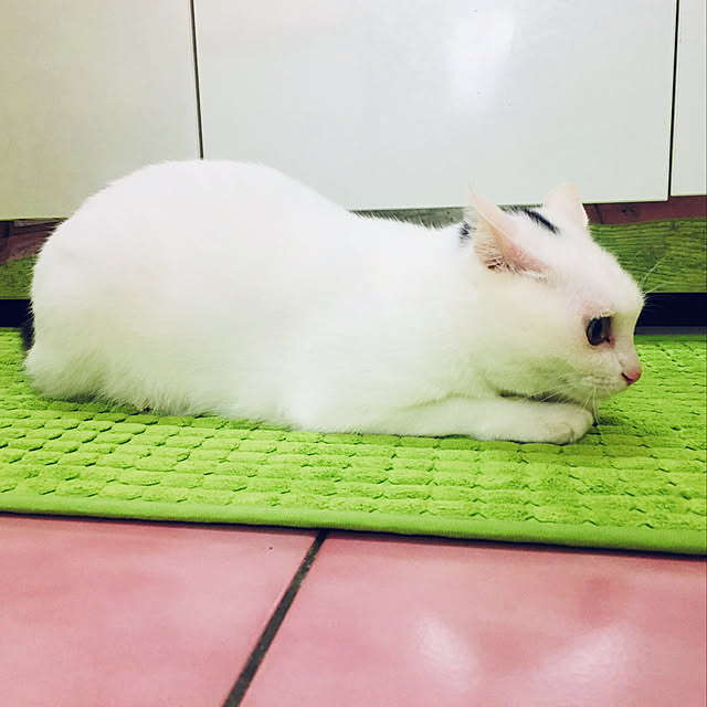 pcu110さんの実例写真