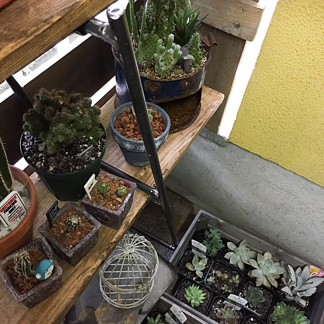 natulove0418さんの実例写真